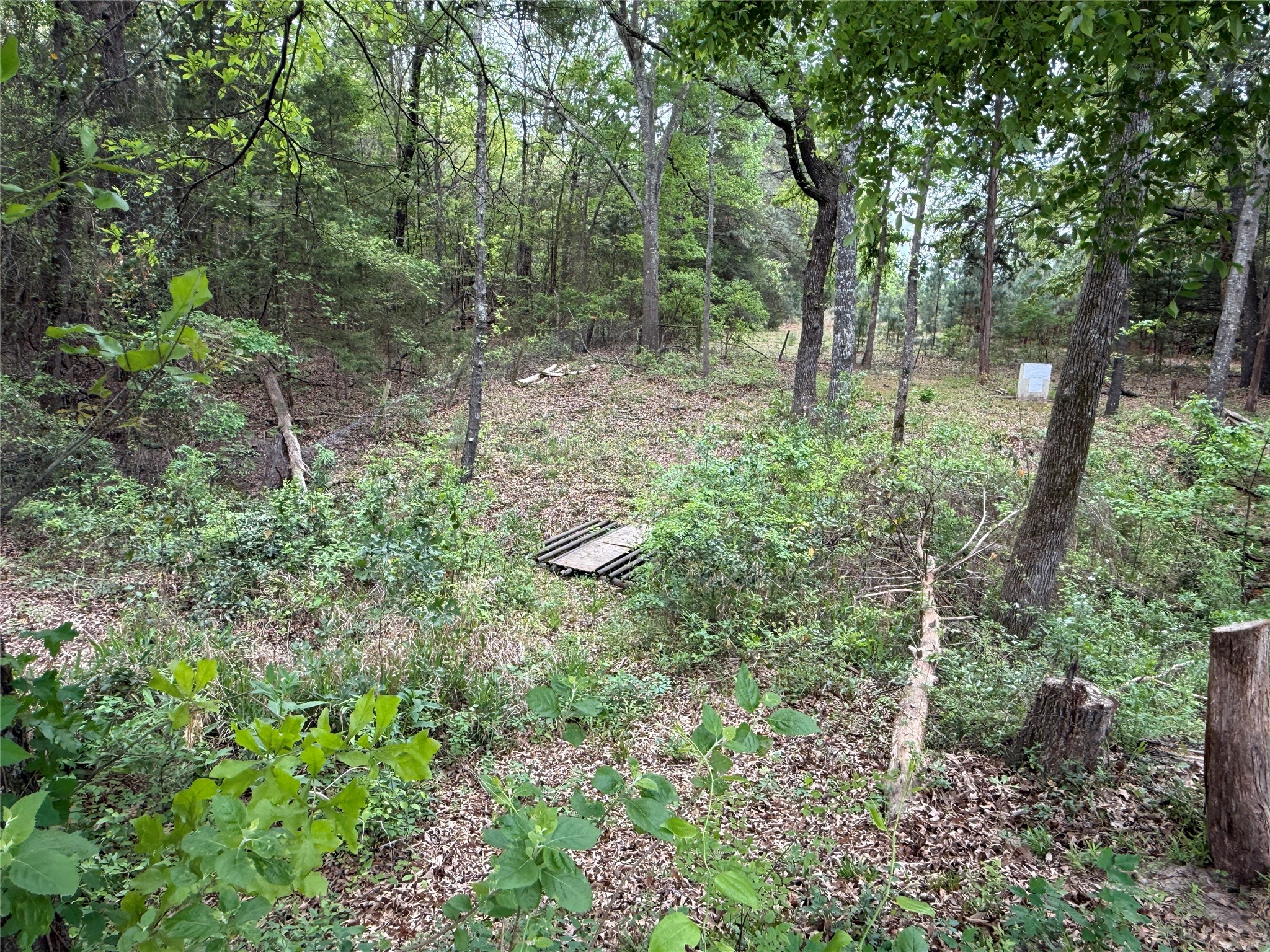 1014 County Road 3226 Quitman TX 75783