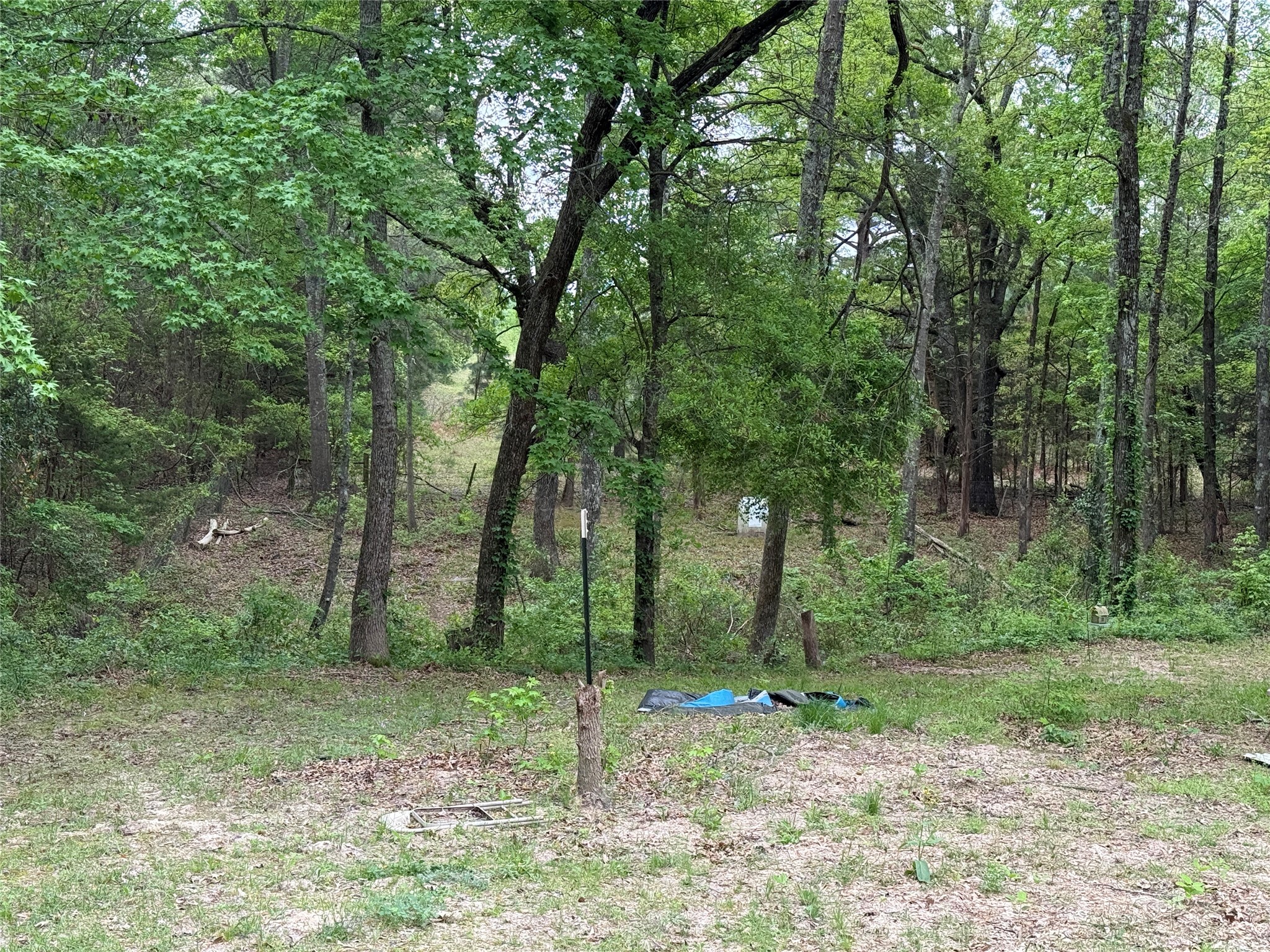 1014 County Road 3226 Quitman TX 75783