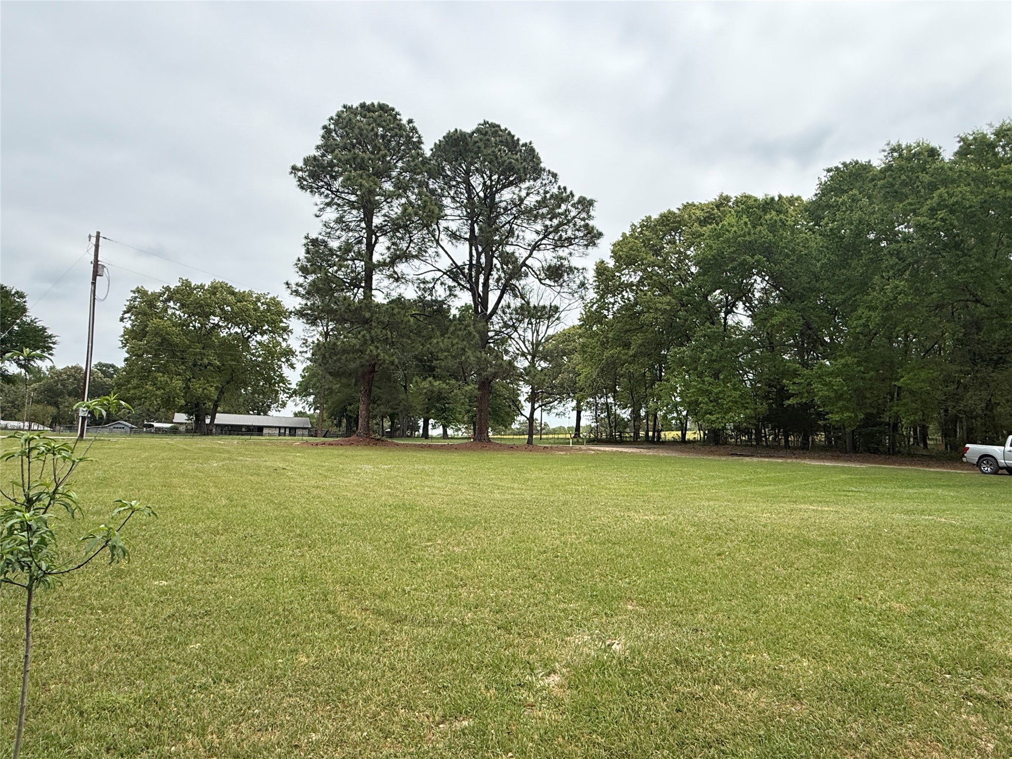 1014 County Road 3226 Quitman TX 75783