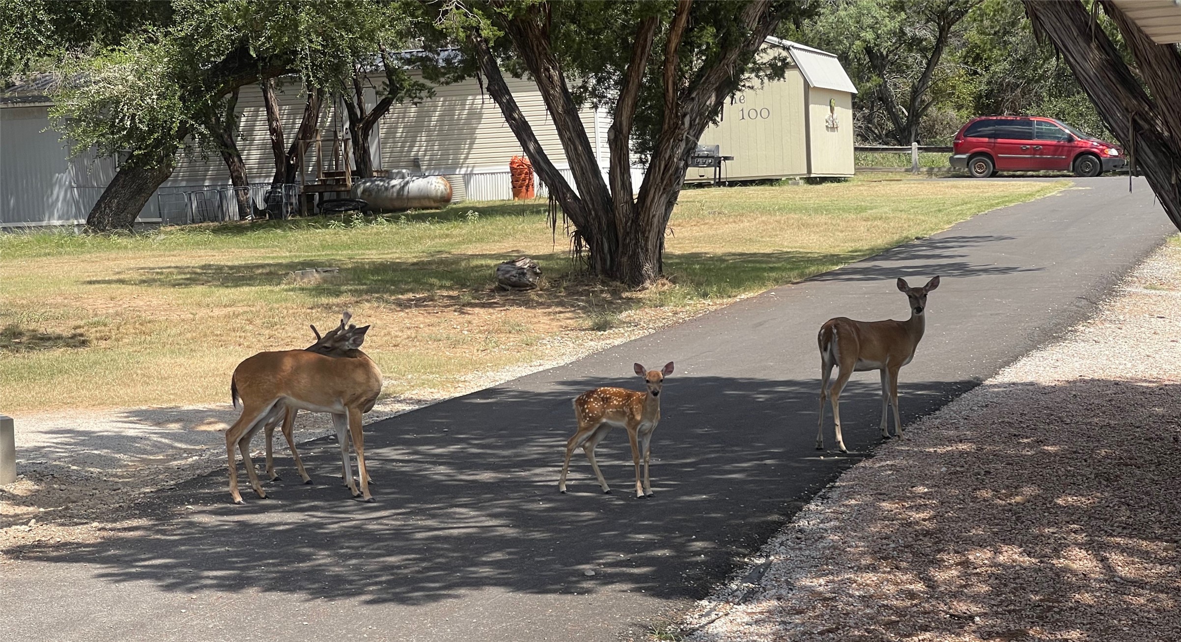2334 Sanbar Road Possum Kingdom Lake TX 76449