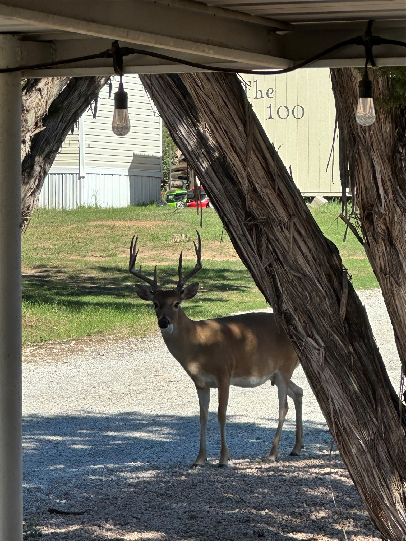2334 Sanbar Road Possum Kingdom Lake TX 76449