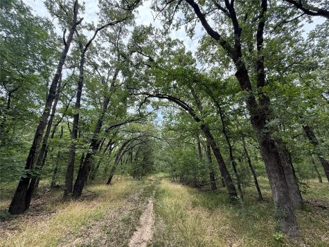 15195 Farm Road 71 E Sulphur Bluff TX 75481