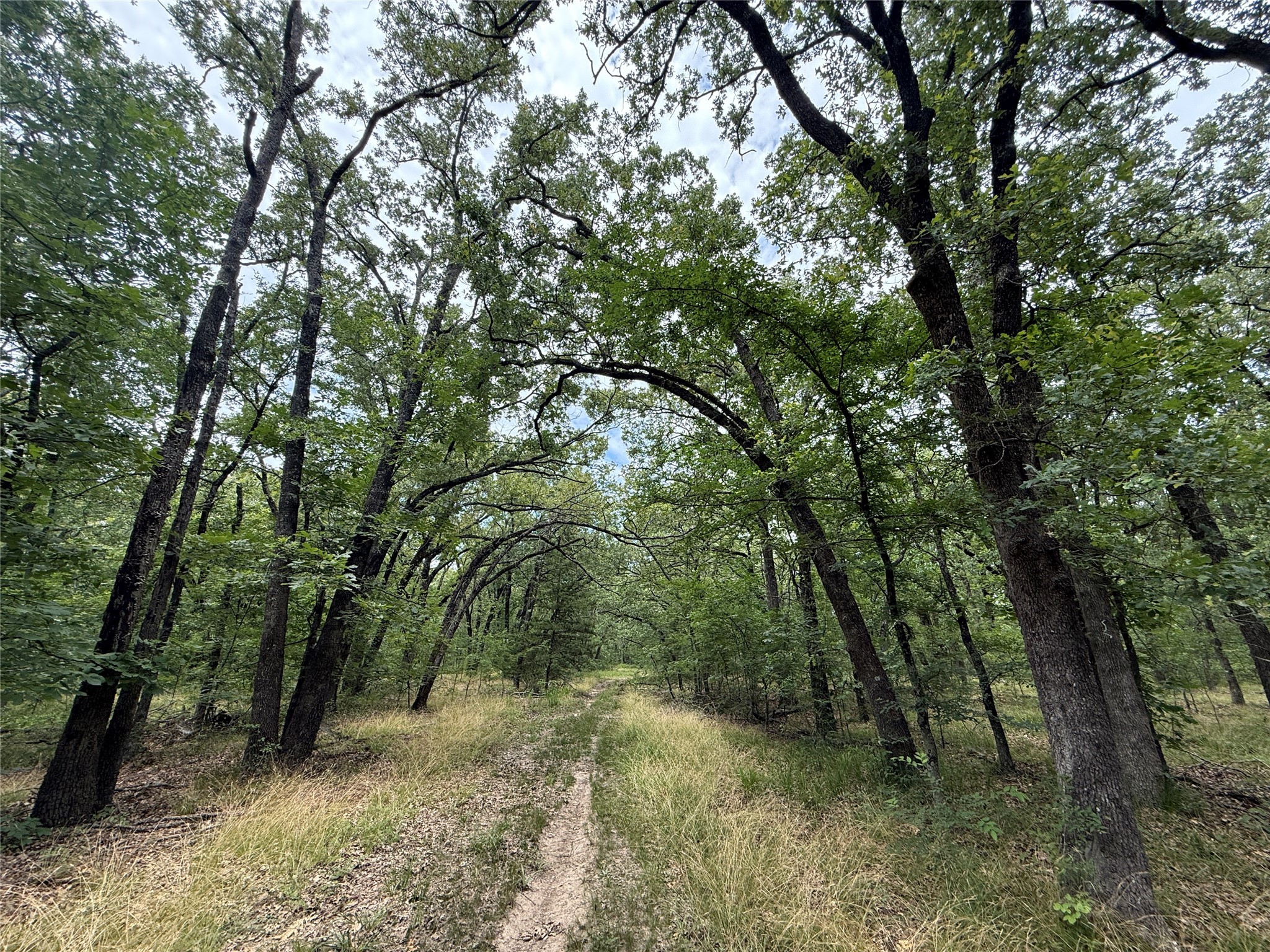 15195 Farm Road 71 E Sulphur Bluff TX 75481