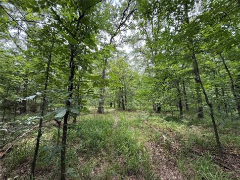 15195 Farm Road 71 E Sulphur Bluff TX 75481