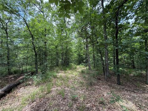 15195 Farm Road 71 E Sulphur Bluff TX 75481