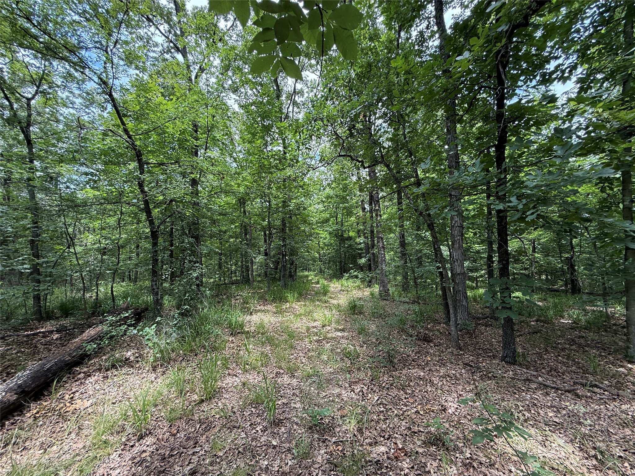 15195 Farm Road 71 E Sulphur Bluff TX 75481