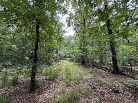 15195 Farm Road 71 E Sulphur Bluff TX 75481