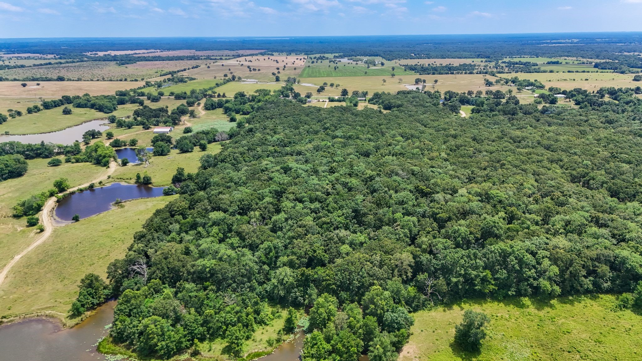 15195 Farm Road 71 E Sulphur Bluff TX 75481