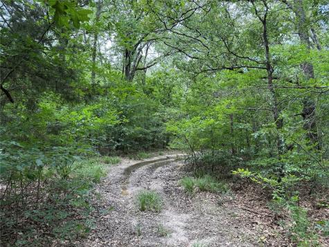 15195 Farm Road 71 E Sulphur Bluff TX 75481