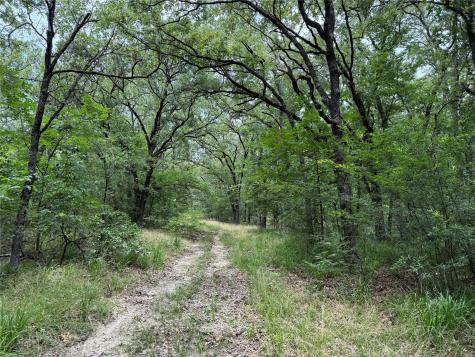 15195 Farm Road 71 E Sulphur Bluff TX 75481