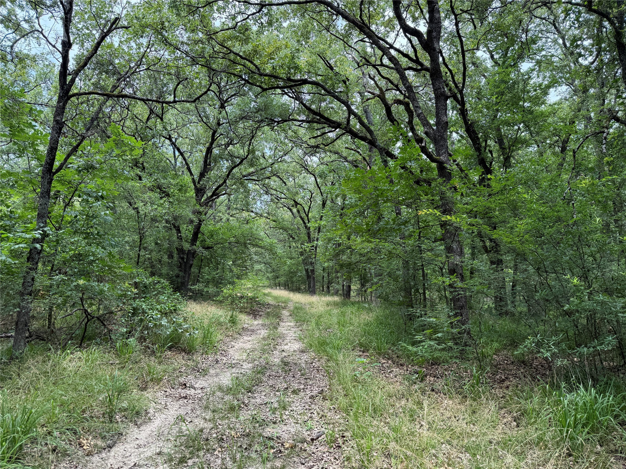 15195 Farm Road 71 E Sulphur Bluff TX 75481