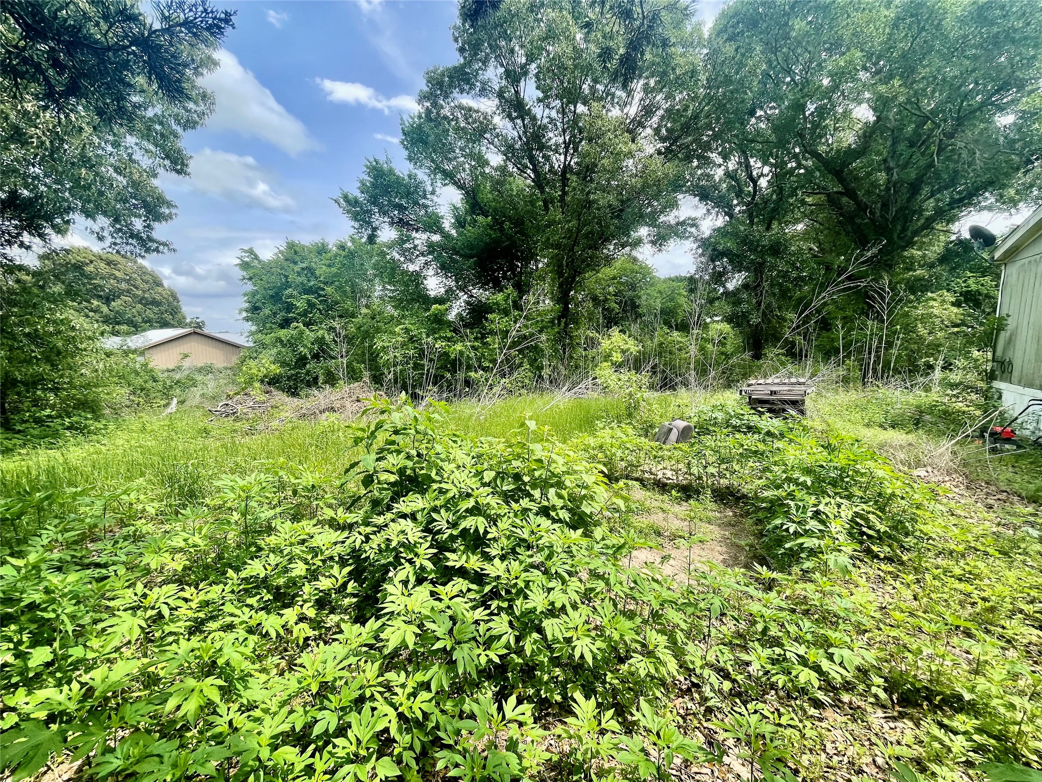 528 Vz County Road 1308 Canton TX 75103
