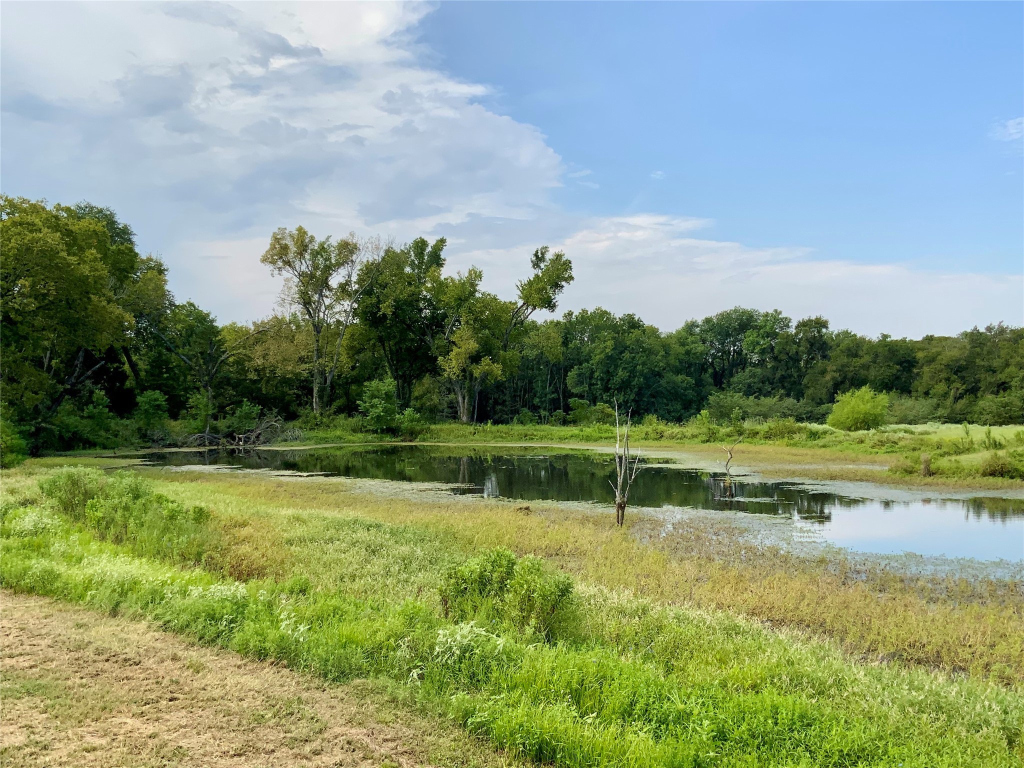 607 Faulkenberry Road Groesbeck TX 76642