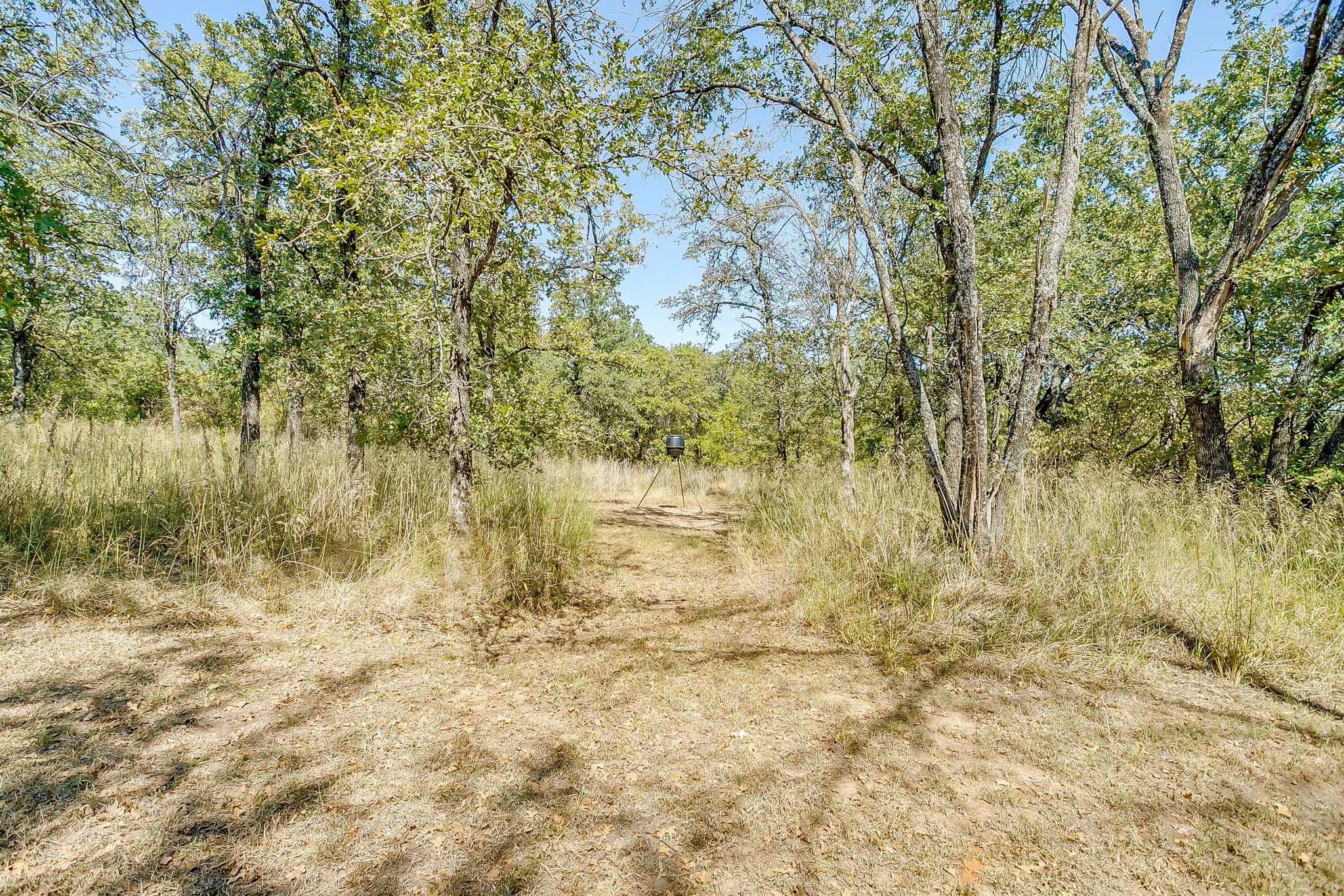 436 Luke Road Springtown TX 76082