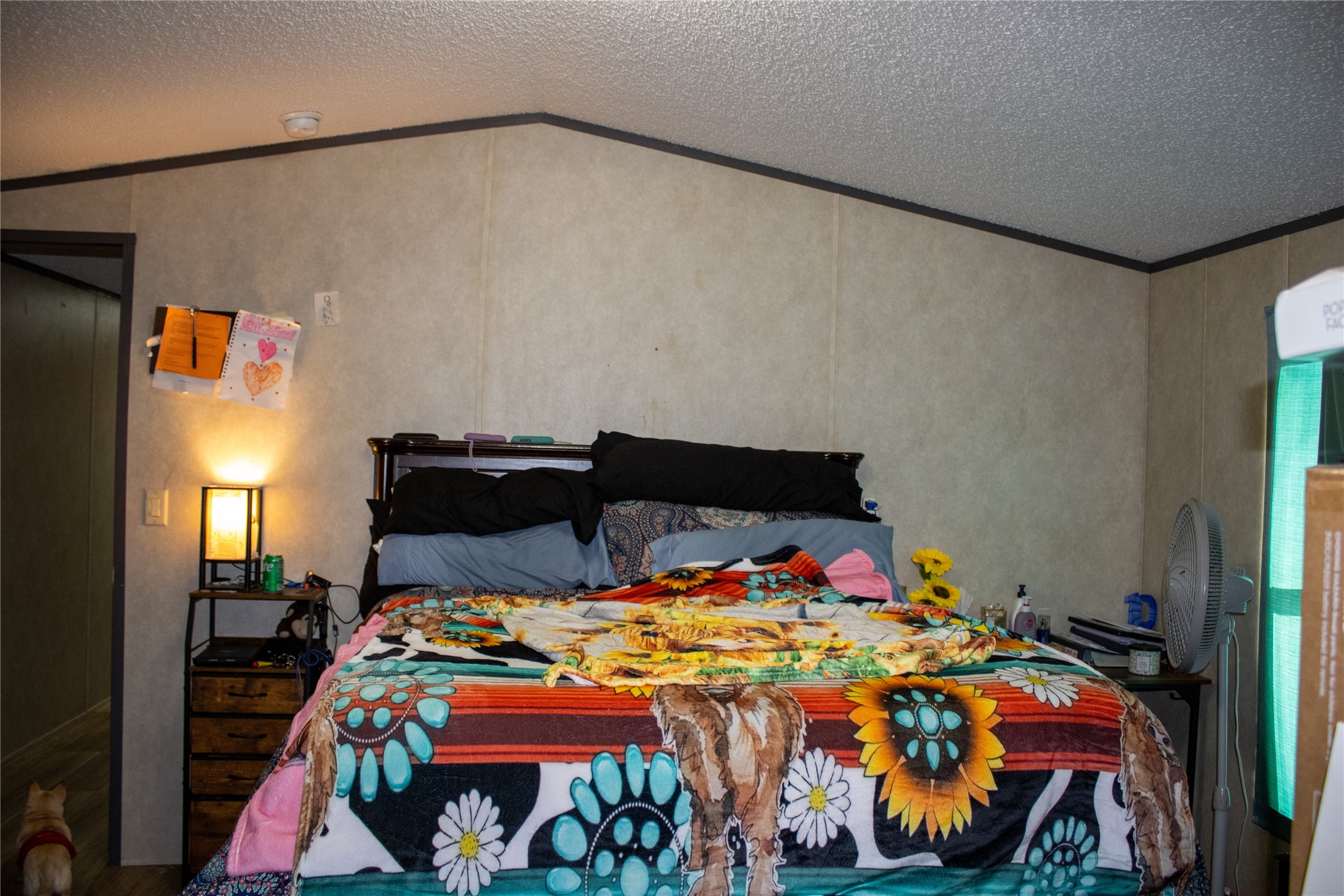 145 Firefly Drive Springtown TX 76082