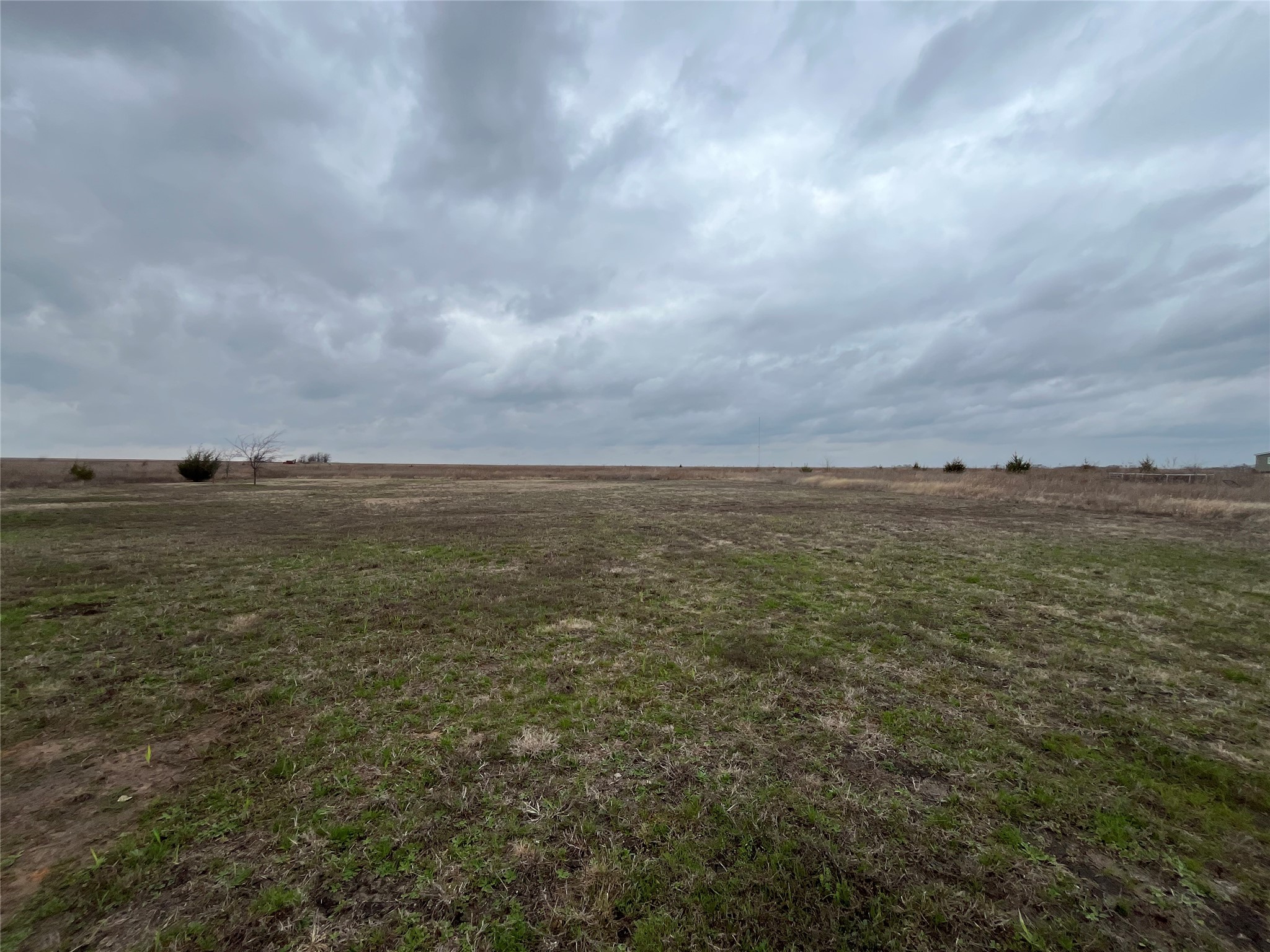 8082 Fm 697 Whitewright TX 75491
