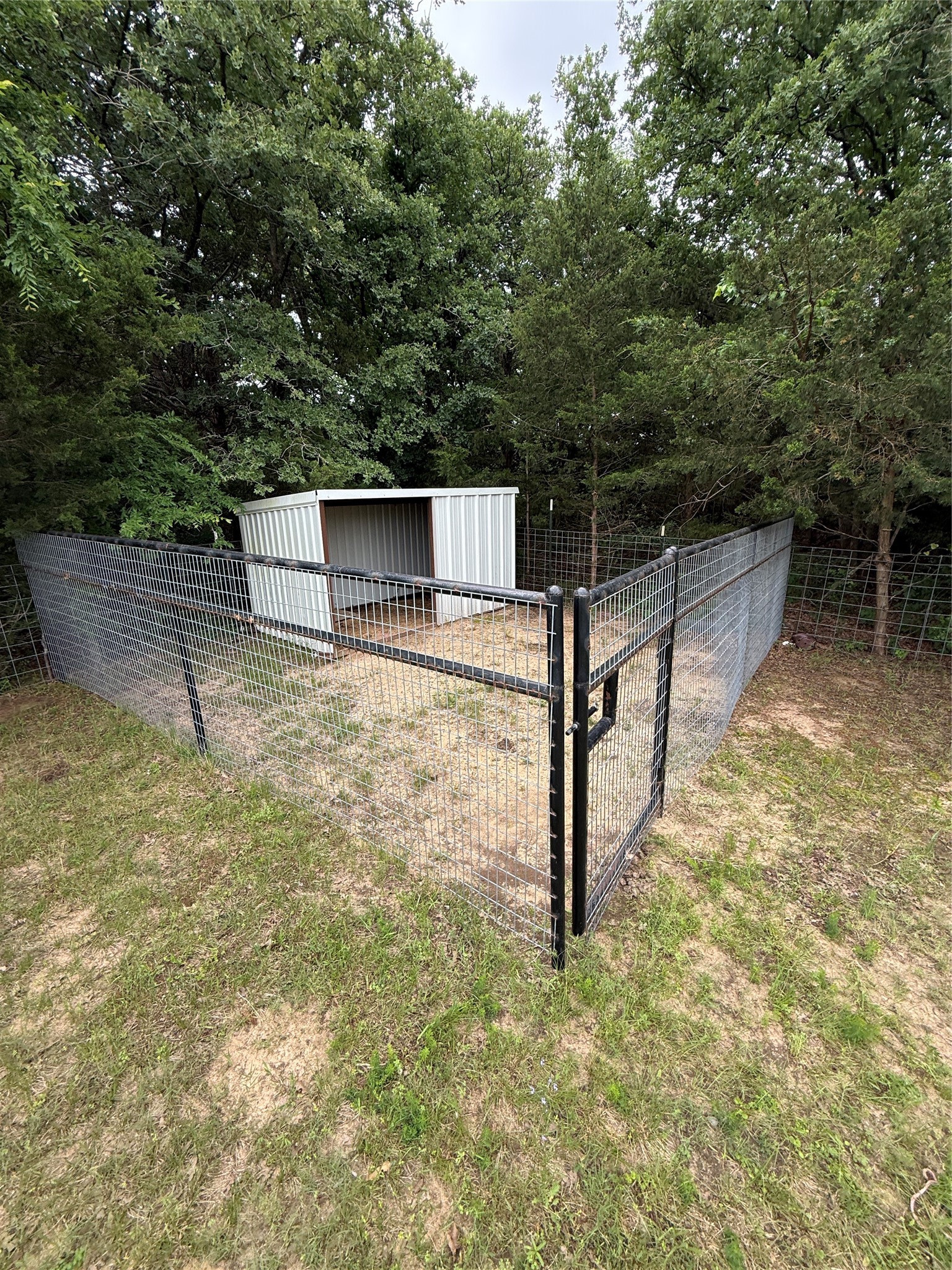3351 County Road 147 Gainesville TX 76240