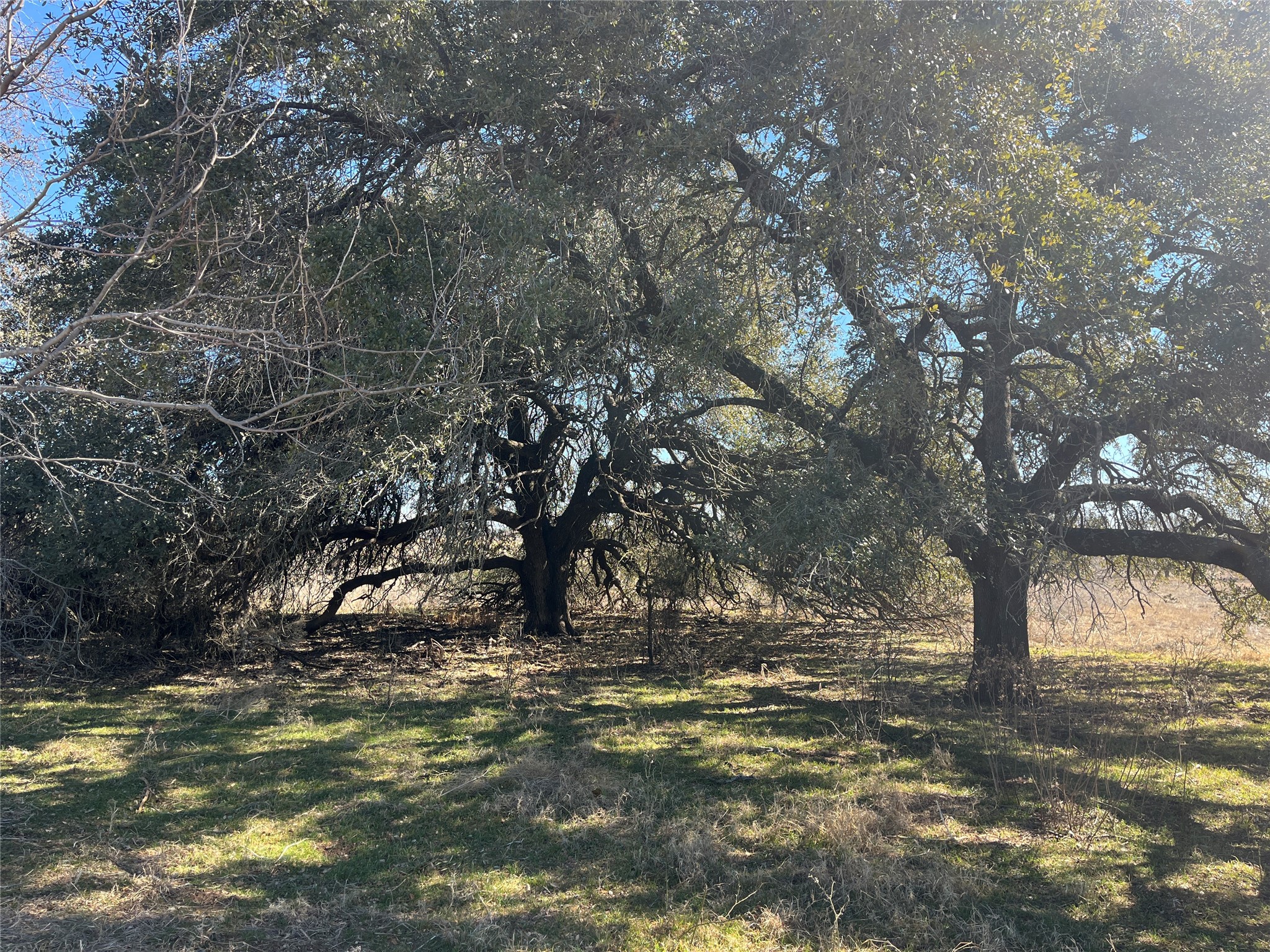 6164 County Road 264 Dublin TX 76446