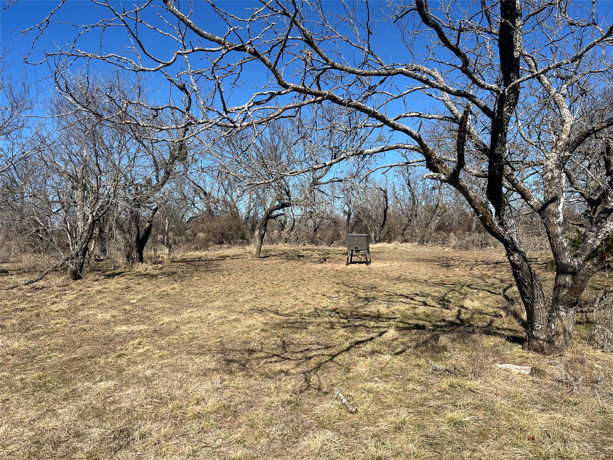 6164 County Road 264 Dublin TX 76446