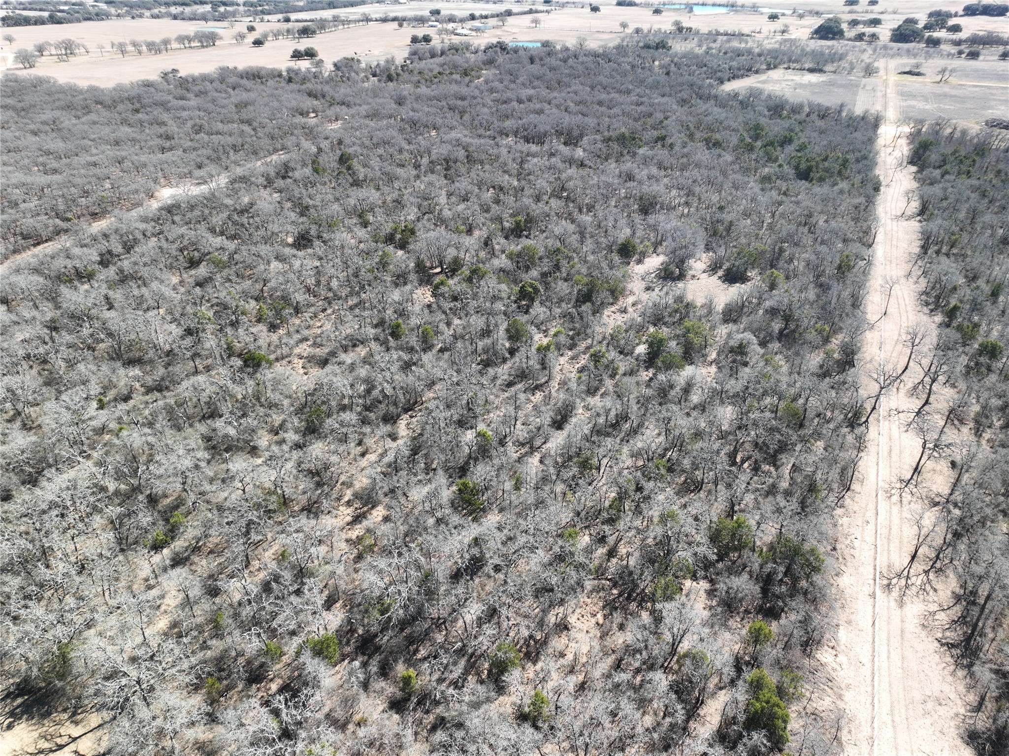 6164 County Road 264 Dublin TX 76446