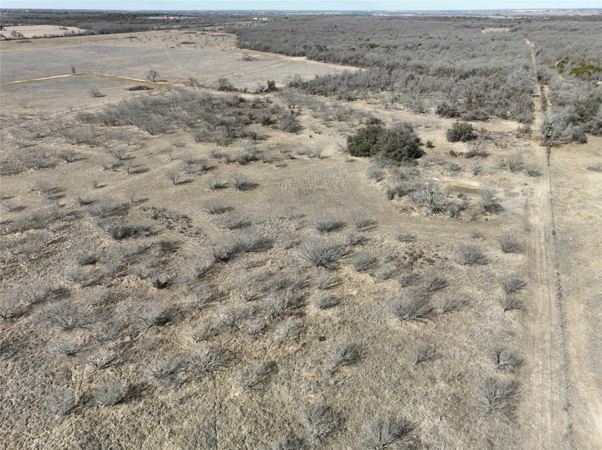 6164 County Road 264 Dublin TX 76446