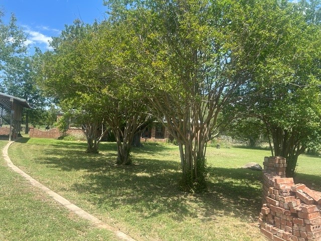 6164 County Road 264 Dublin TX 76446