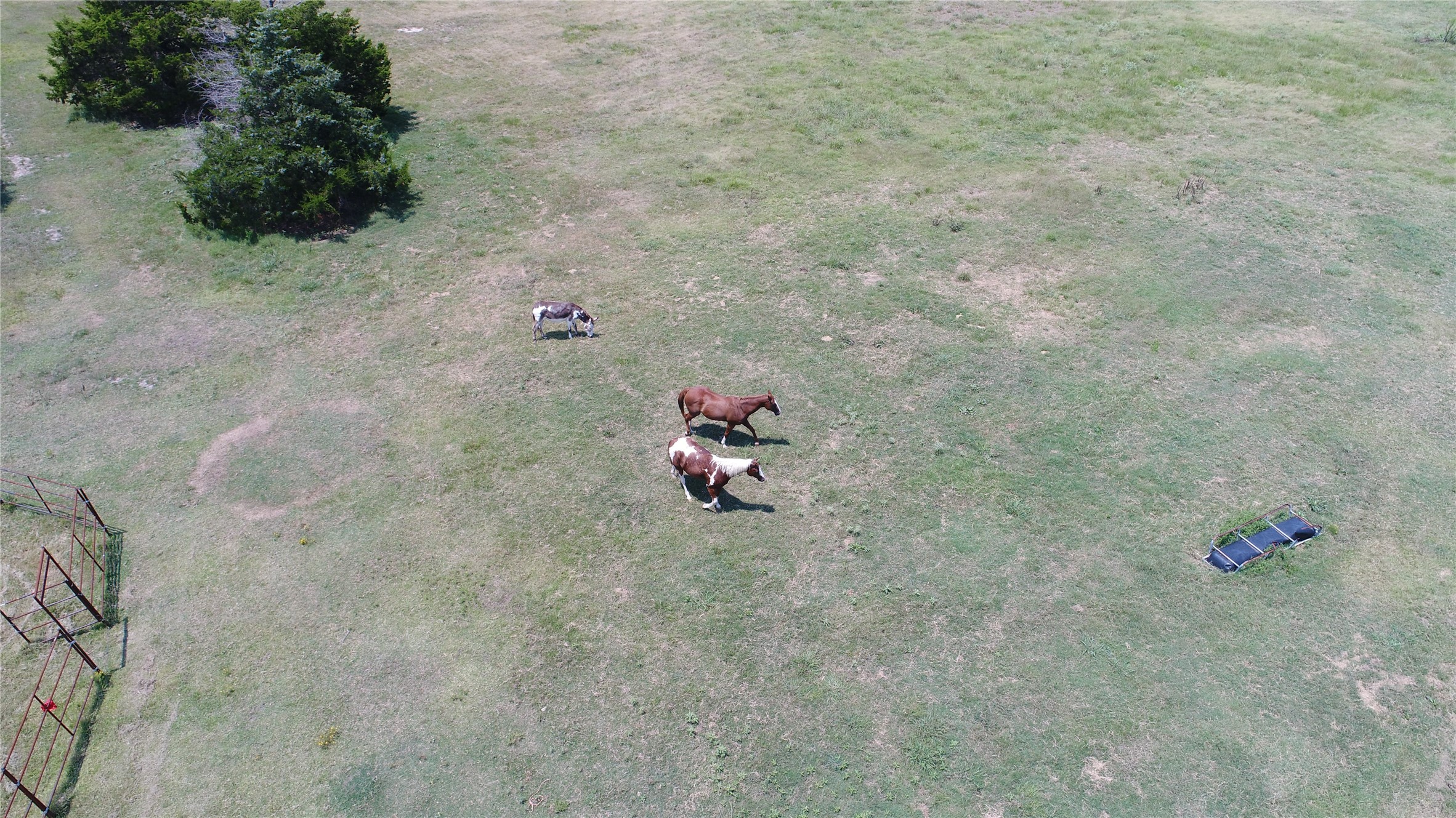 14200 County Road 2180 Richland TX 76681
