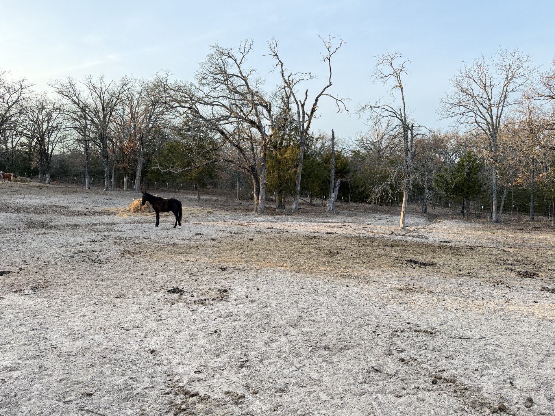 9789 Sunrise Boulevard Quinlan TX 75474
