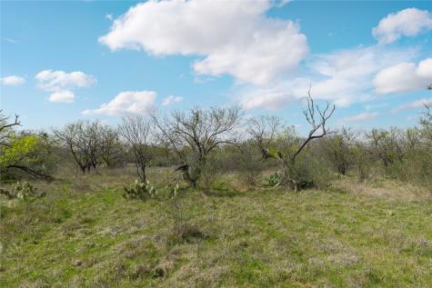 496 County Road 198 Brownwood TX 76801