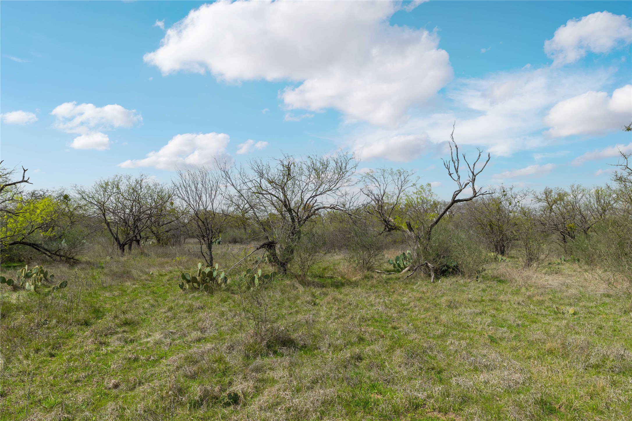 496 County Road 198 Brownwood TX 76801