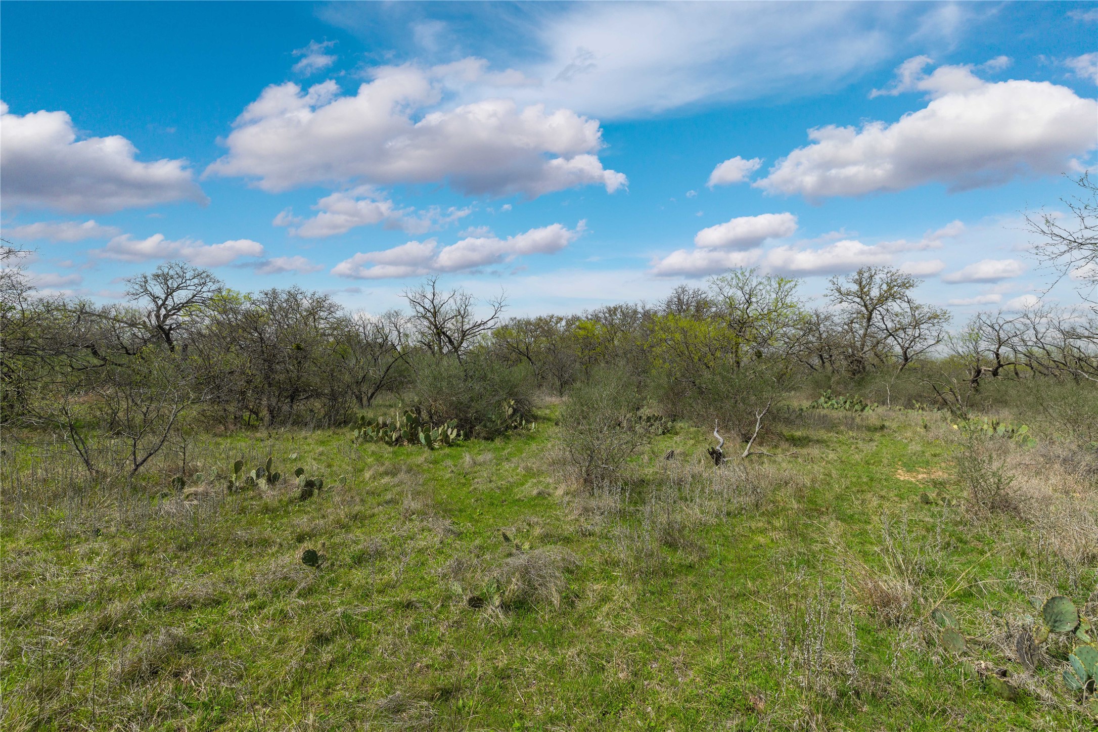 496 County Road 198 Brownwood TX 76801