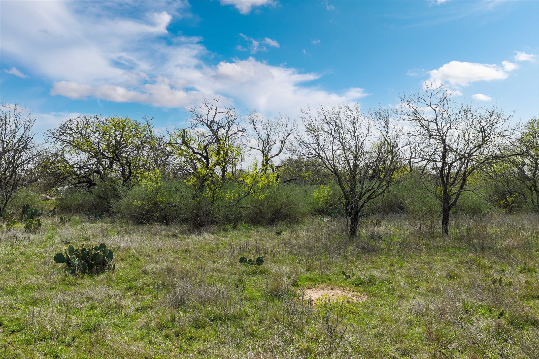 496 County Road 198 Brownwood TX 76801