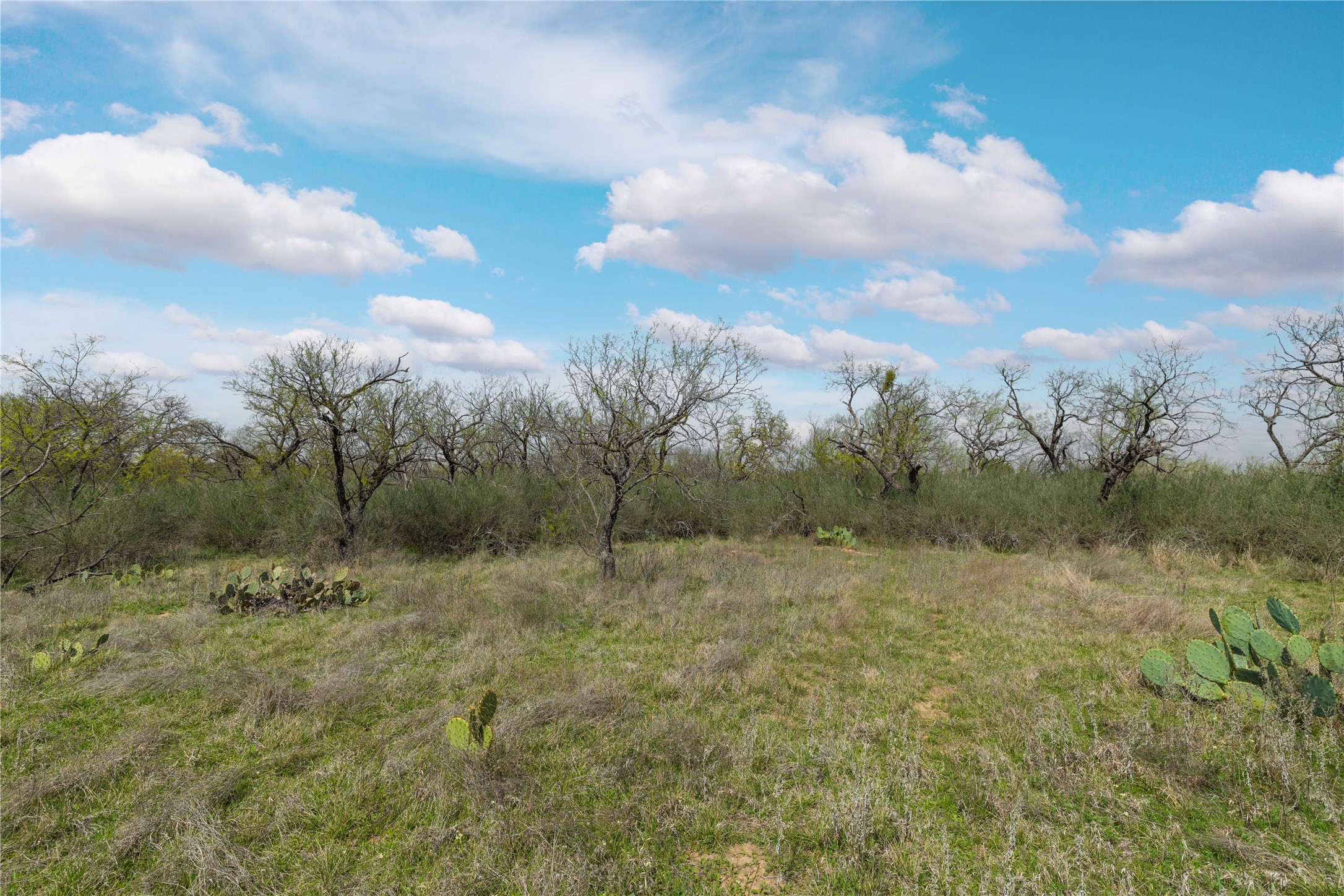 496 County Road 198 Brownwood TX 76801