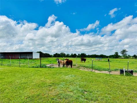 251 County Road 225 Rising Star TX 76471