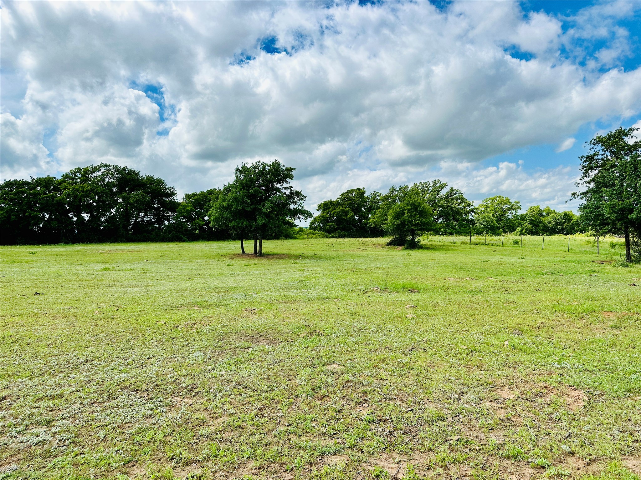 251 County Road 225 Rising Star TX 76471