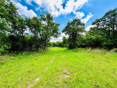 251 County Road 225 Rising Star TX 76471