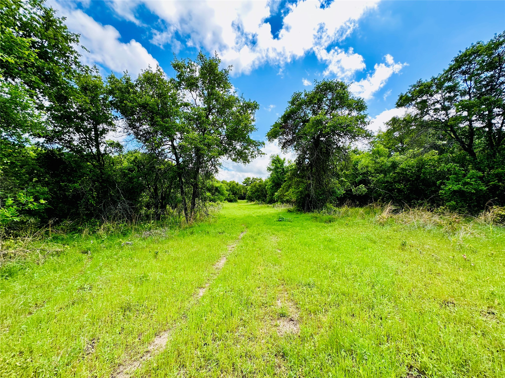 251 County Road 225 Rising Star TX 76471