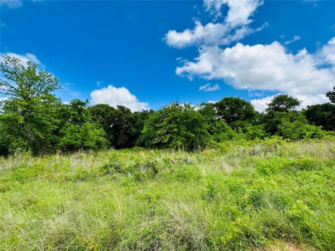 251 County Road 225 Rising Star TX 76471