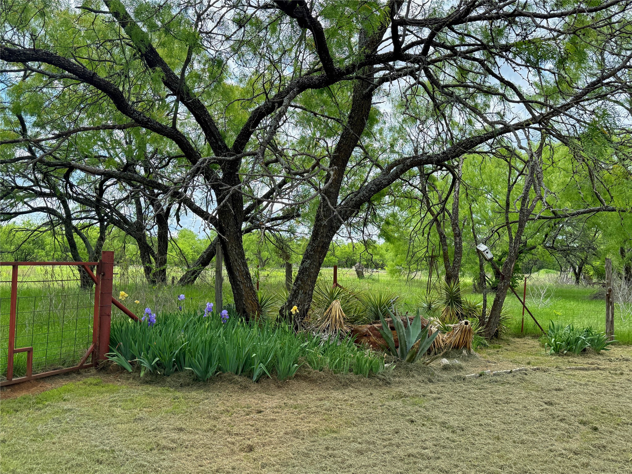 1091 Withers Road Mineral Wells TX 76067