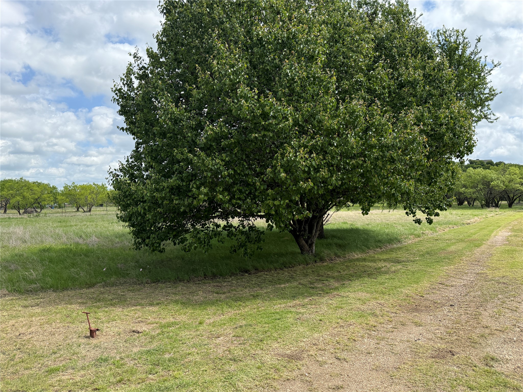 1091 Withers Road Mineral Wells TX 76067