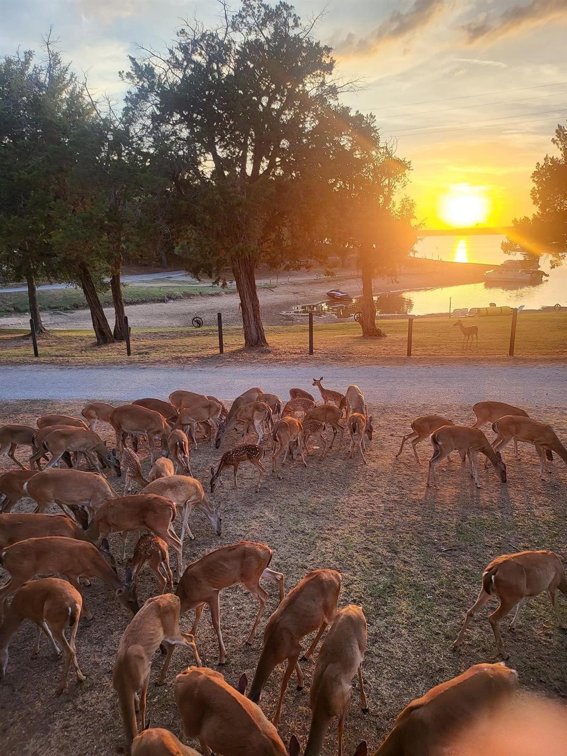2334 Sanbar Road Possum Kingdom Lake TX 76449