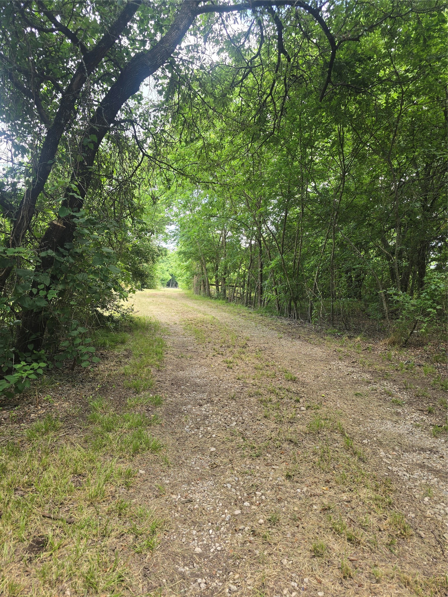 2225 County Road 700 Farmersville TX 75442