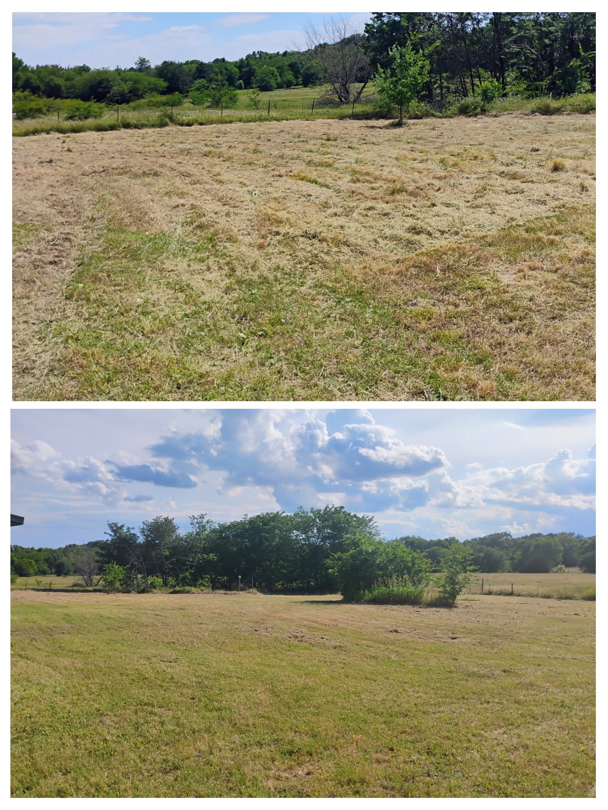 2225 County Road 700 Farmersville TX 75442