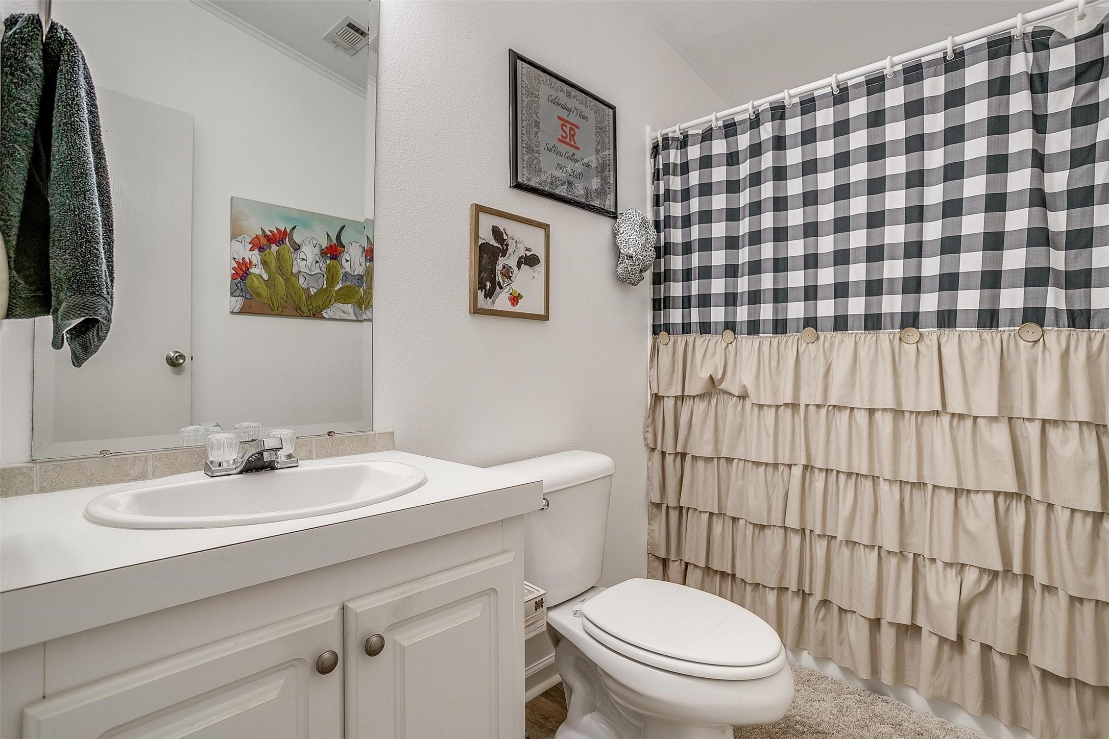 421 Red Bluff Circle Millsap TX 76066