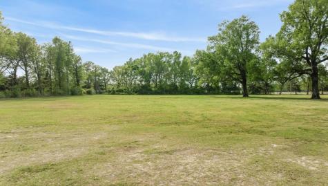 81 County Road 44880 Blossom TX 75416