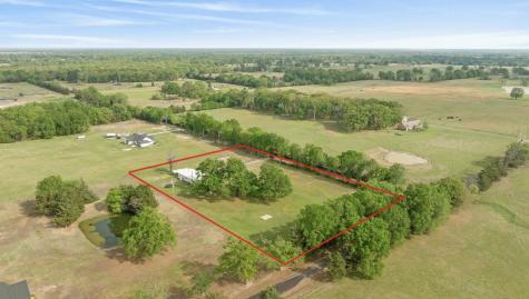 81 County Road 44880 Blossom TX 75416