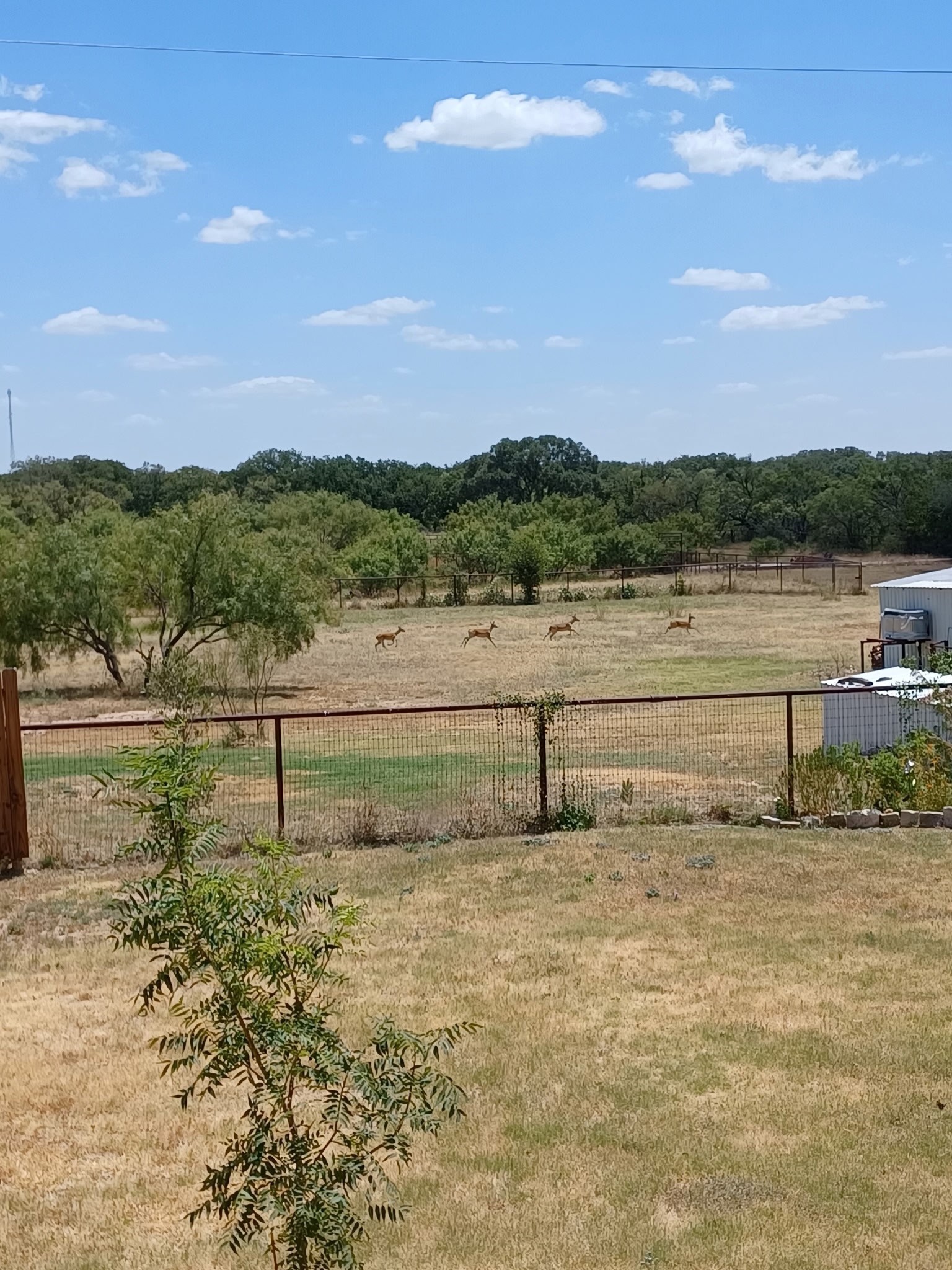 7250 County Road 350 Blanket TX 76432