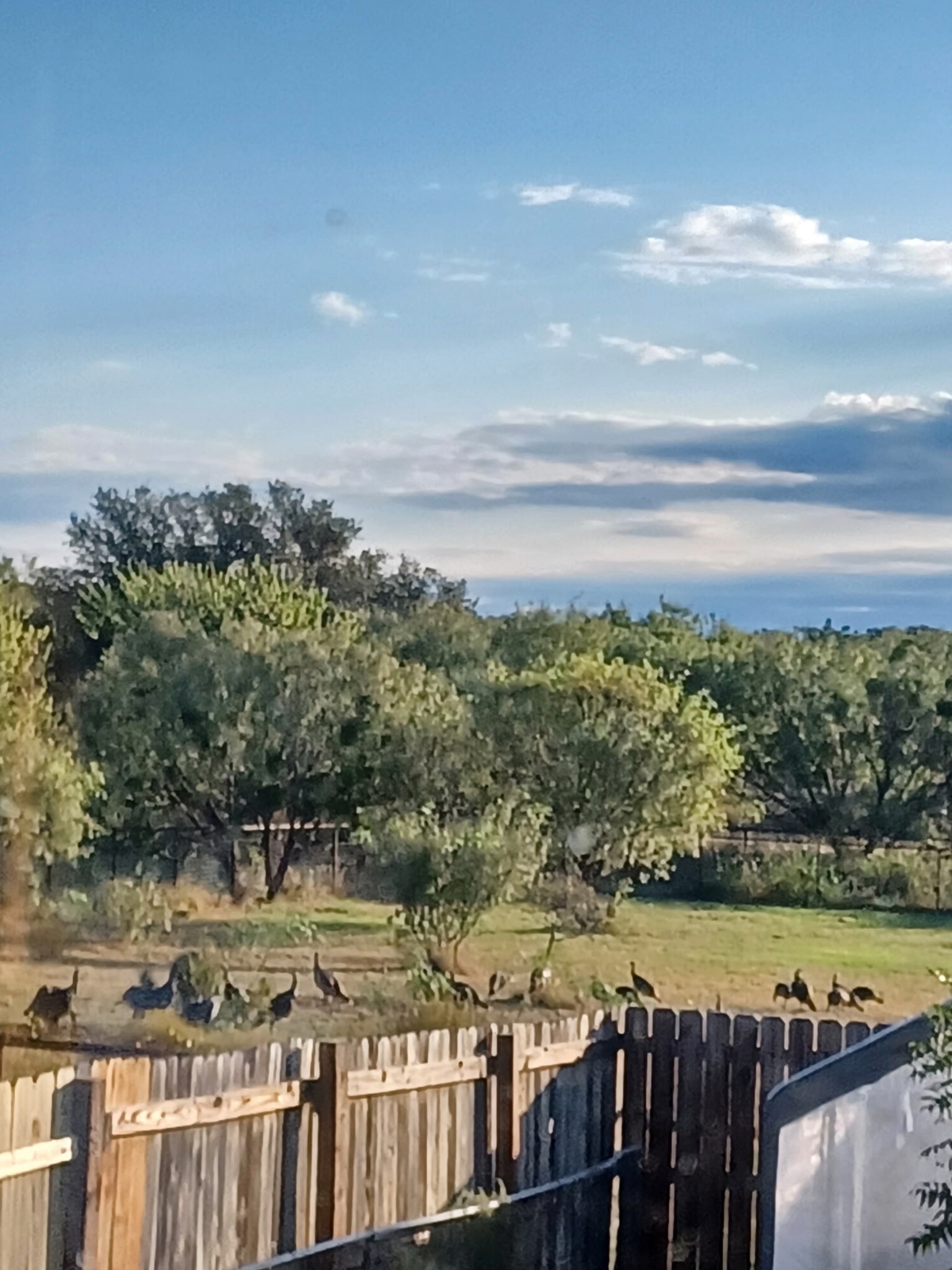 7250 County Road 350 Blanket TX 76432