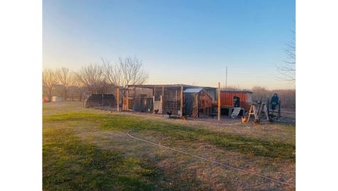 301 County Road 5716 Natalia TX 78059