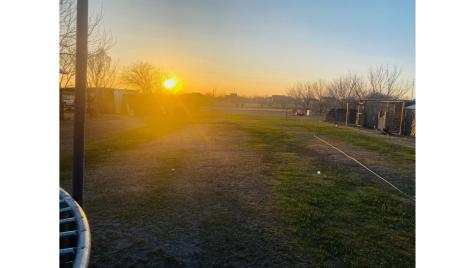 301 County Road 5716 Natalia TX 78059